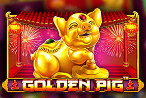 Golden Pig